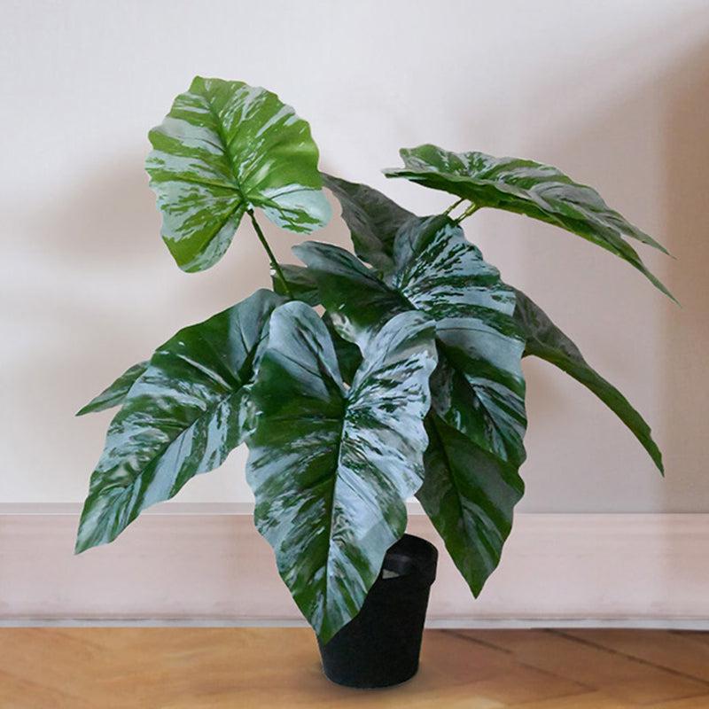 Faux Everlasting Caladium Plant With Black Plastic Pot - 65 cm (2.1 ft) media 3