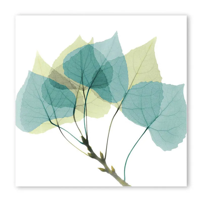 Holden Floral Wall Art media 4