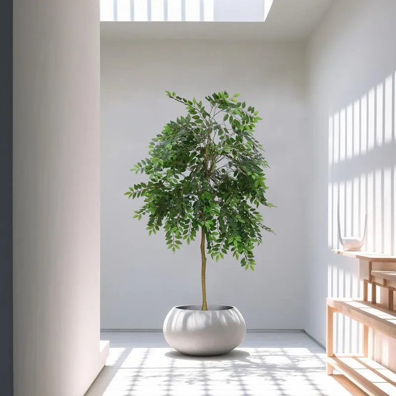 Herbelle Artificial Ficus Plant - 3.9 Feet media 4