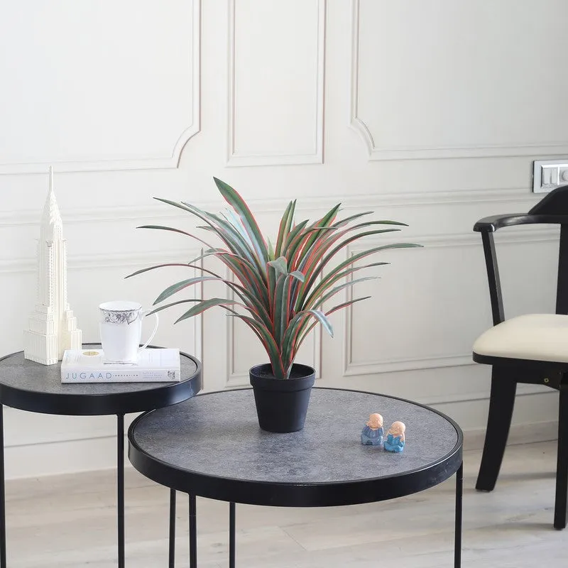Serenity Leaf Artificial Plant With Black Plastic Pot - 1.3 ft media 4