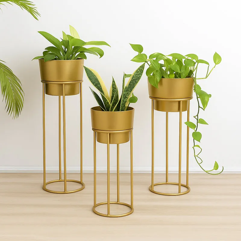 Growspire Planter With Stand - Set Of Three media 1
