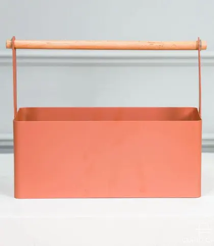 Iron