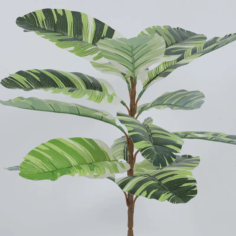 Erina Artificial White Banana Plant With Black Plastic Pot - 2.5 Feet media 5