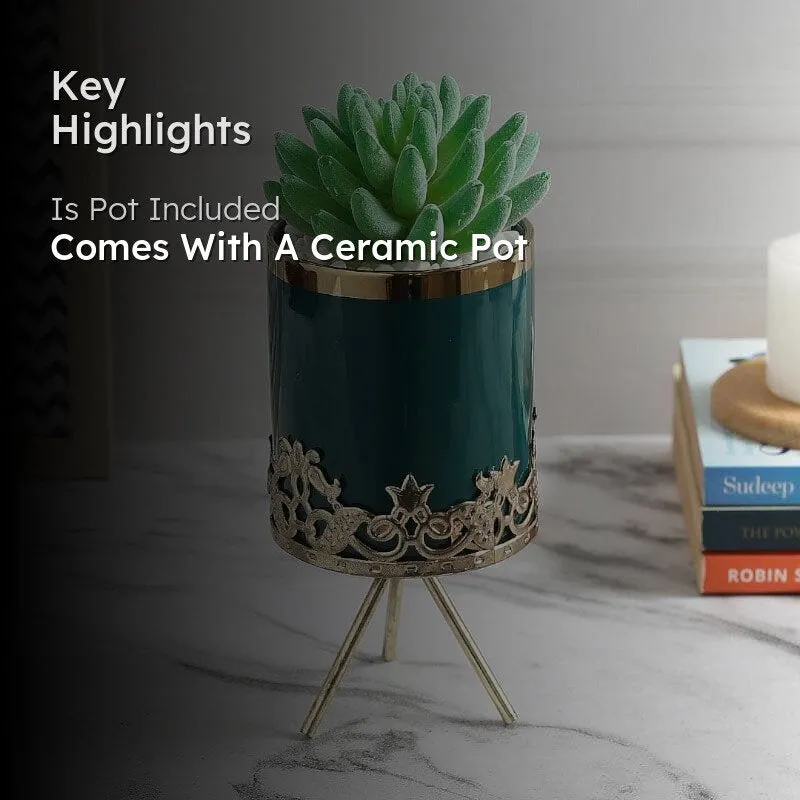 Faux Echeveria In Blue Ceramic Pot - 22.5 cms media 2
