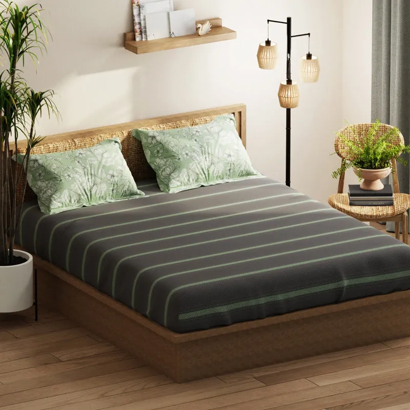 Blush Rest I Bedding Set - Four Piece Set media 3