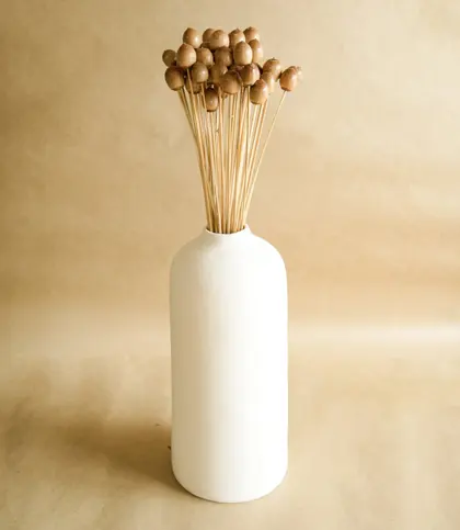 Dried Flowers & Leaves