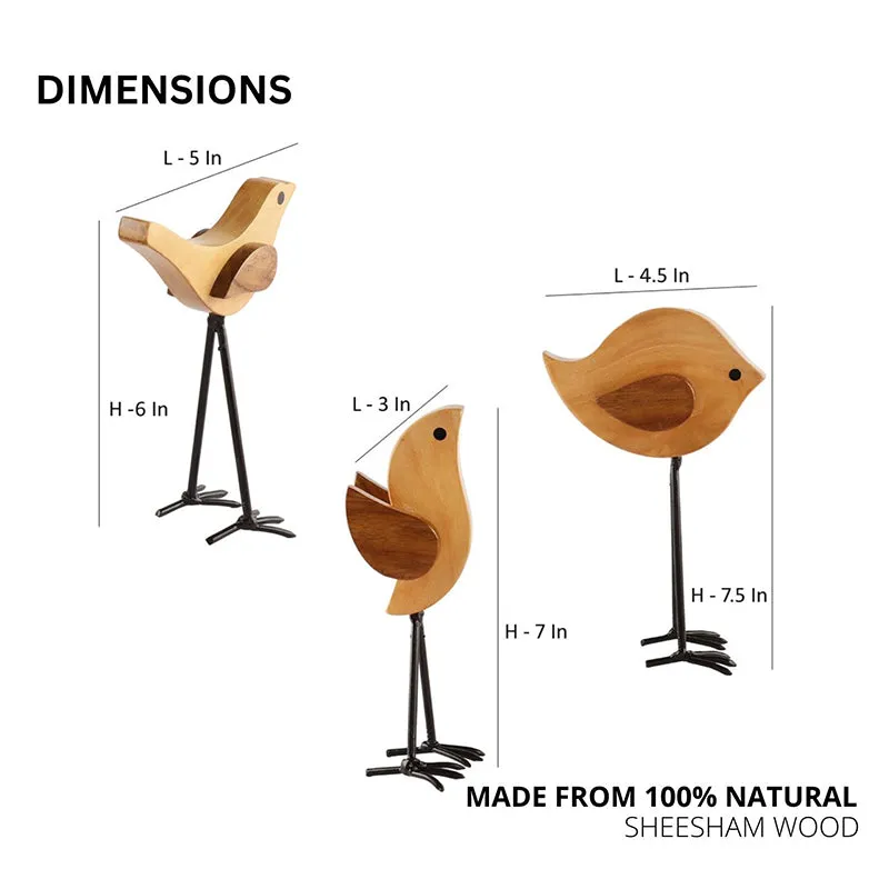 Avian Family Showpiece - Set Of Three media 8