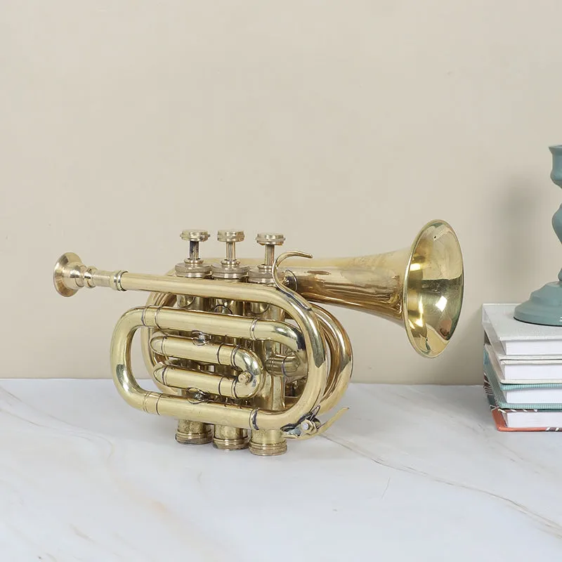 Vintage Tuba Brass Showpiece media 1