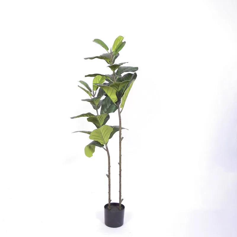 Stylish Fiddle Leaf Fig Artificial Plant With Black Plastic Pot media 4
