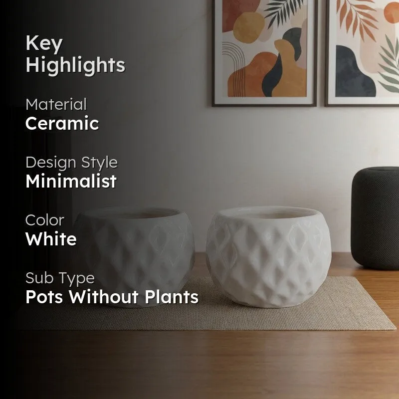Moonstone Textured Ceramic Planter - Set of Two media 2