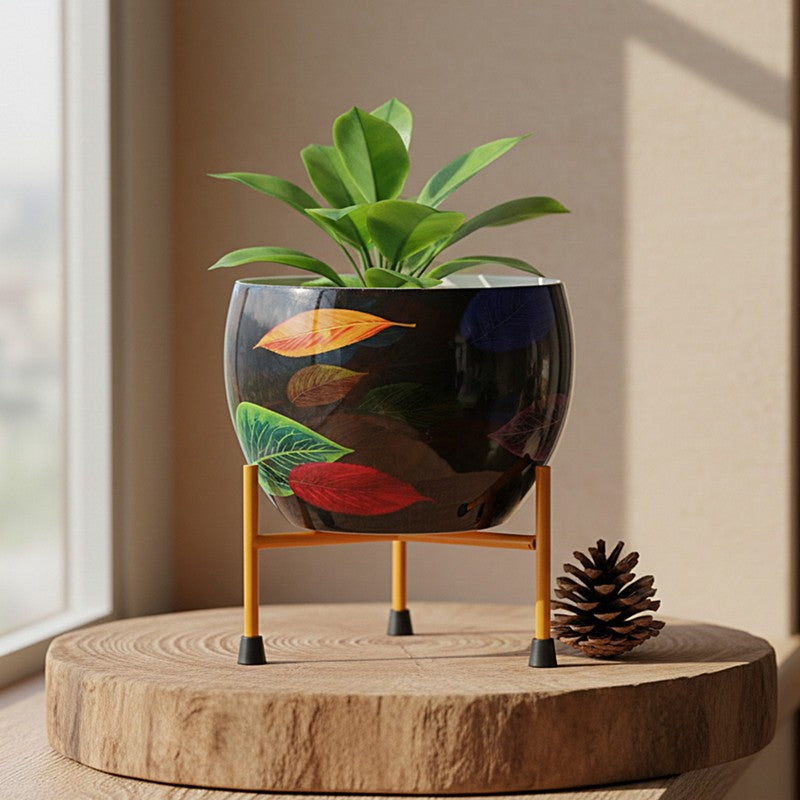 Garden Raga Pots & Planter media 9