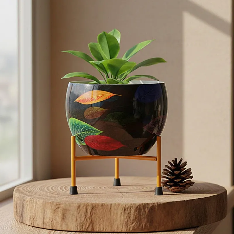 Garden Raga Pots & Planter media 9