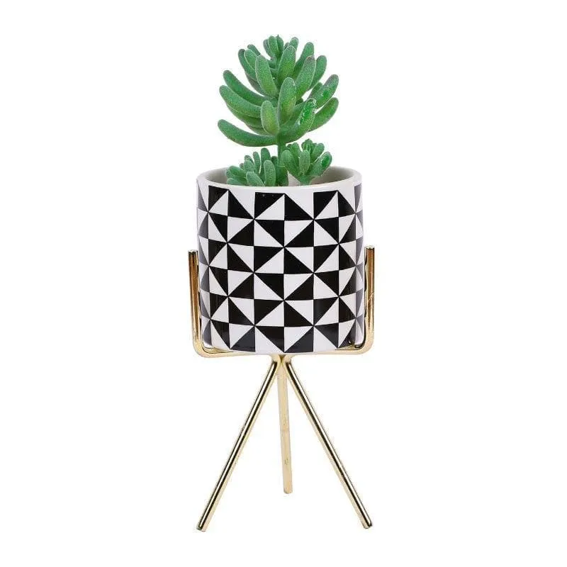 Faux Senecio In Patterned Pot With Tripod - 21.5 cms media 3