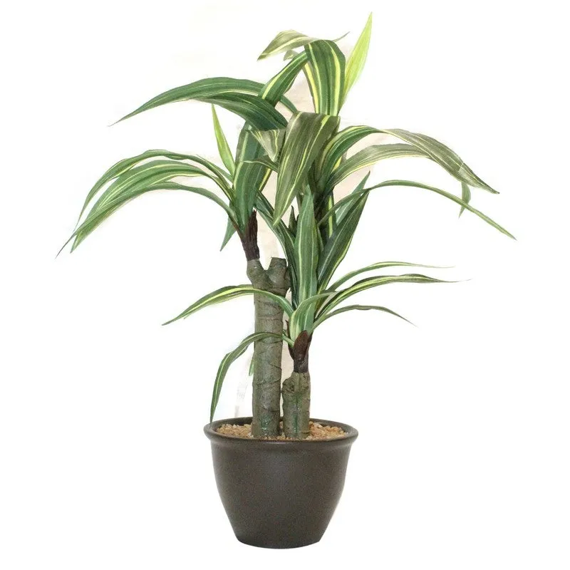 Artificial Yellow Dracaena Bonsai Plant With White Ceramic Pot - 1.8 Feet media 4