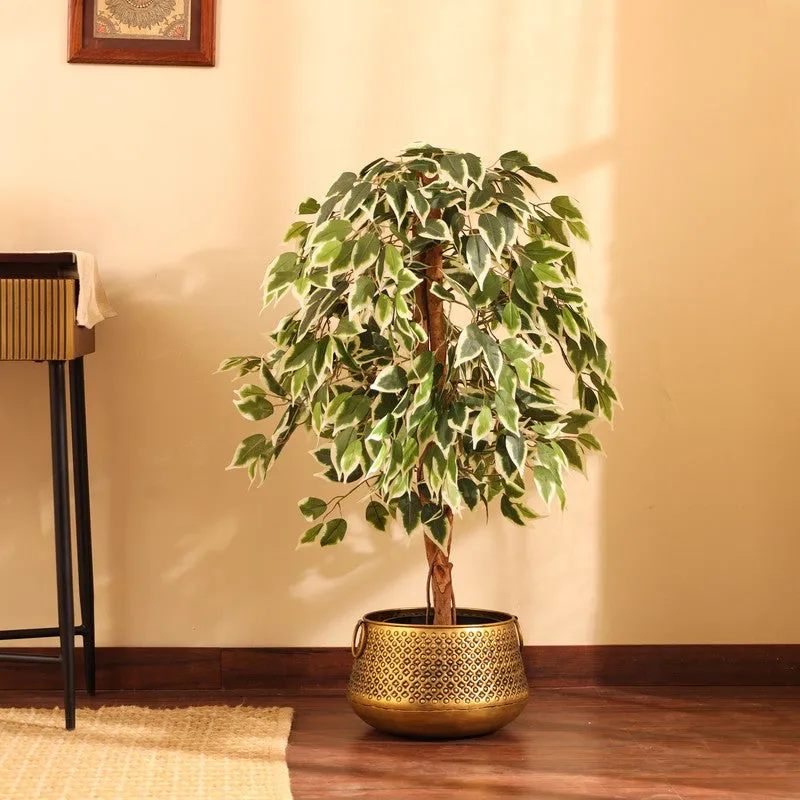 Artificial Variegated Ficus Plant With Black Plastic Pot - 4 ft media 1