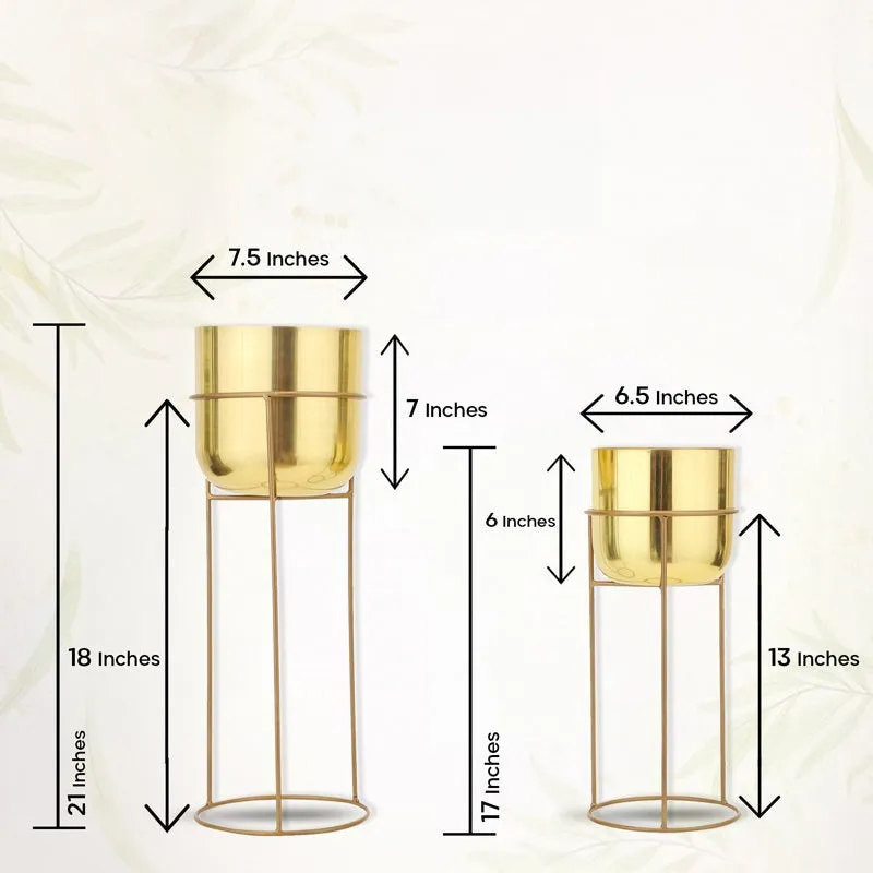 Milara Allure Planter (Gold) - Set Of Two media 7