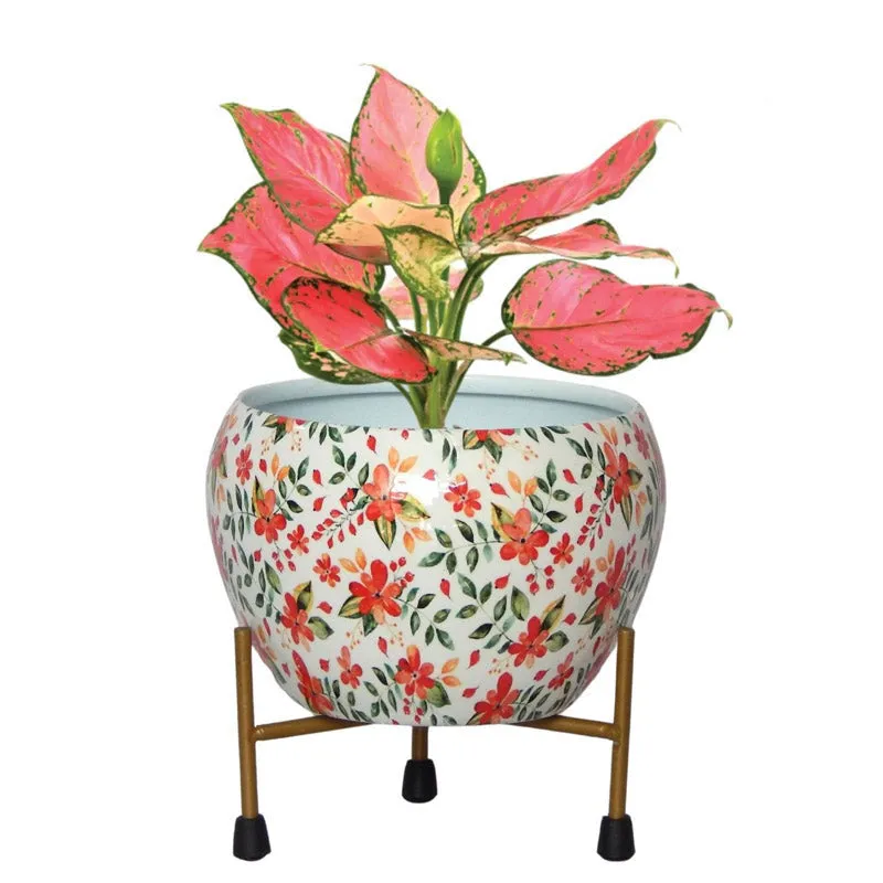 Julietta Peach Floral Planter With Stand media 3