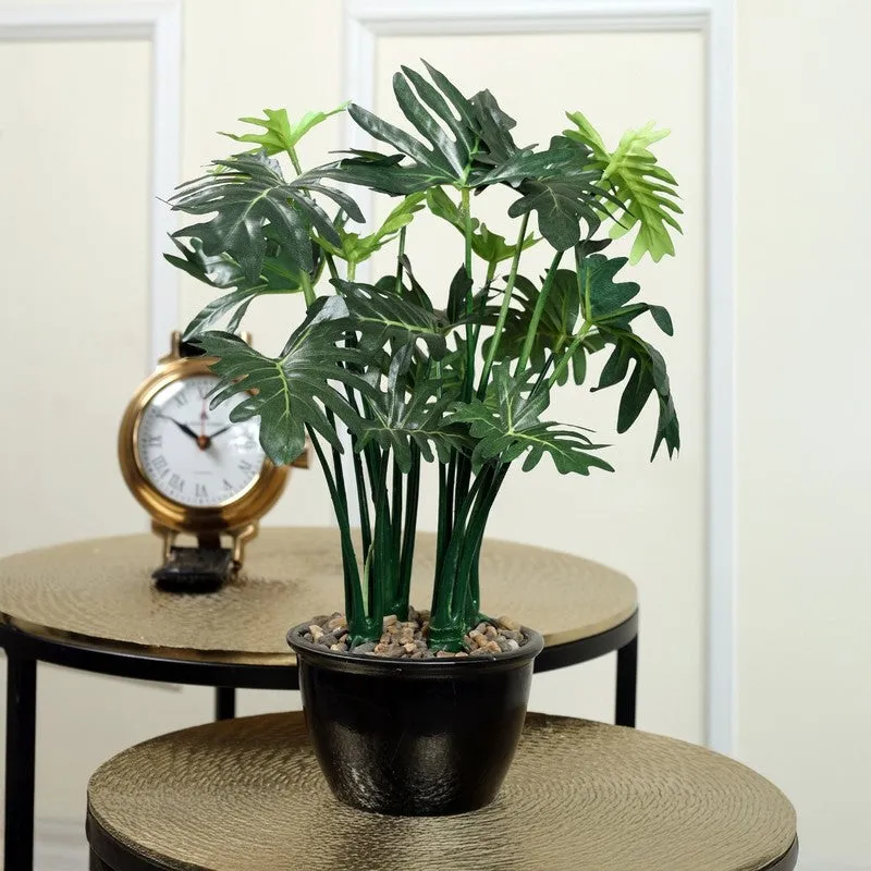 NatureForm Artificial Plant Collection With Black Fiber Pot - 1 Feet media 3