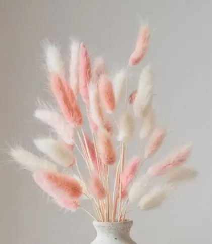Dried Flowers & Leaves