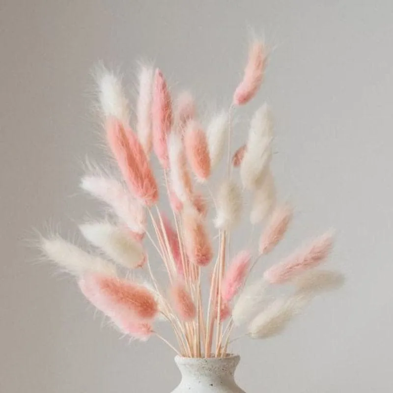 Naturally Dried Strawberry Bunch - Set Of Sixty media 1