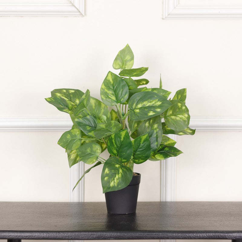 Artificial Pothos Plant With Black Fiber Pot (Green, Yellow) - 1 Feet media 3