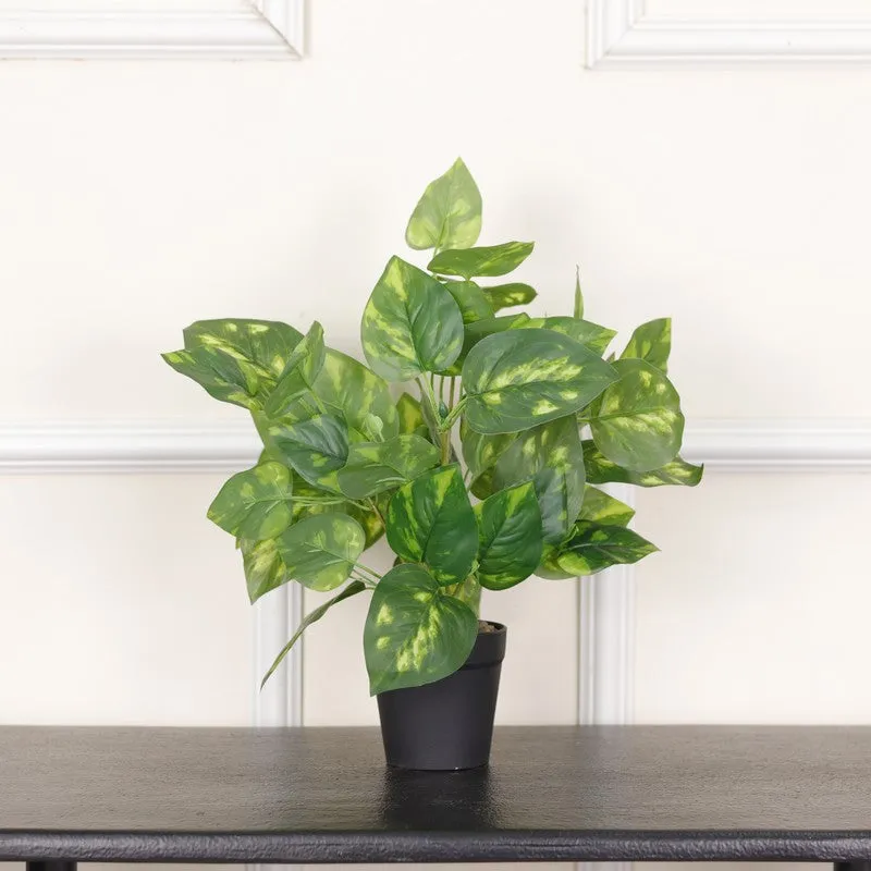 Artificial Pothos Plant With Black Fiber Pot (Green, Yellow) - 1 Feet media 3