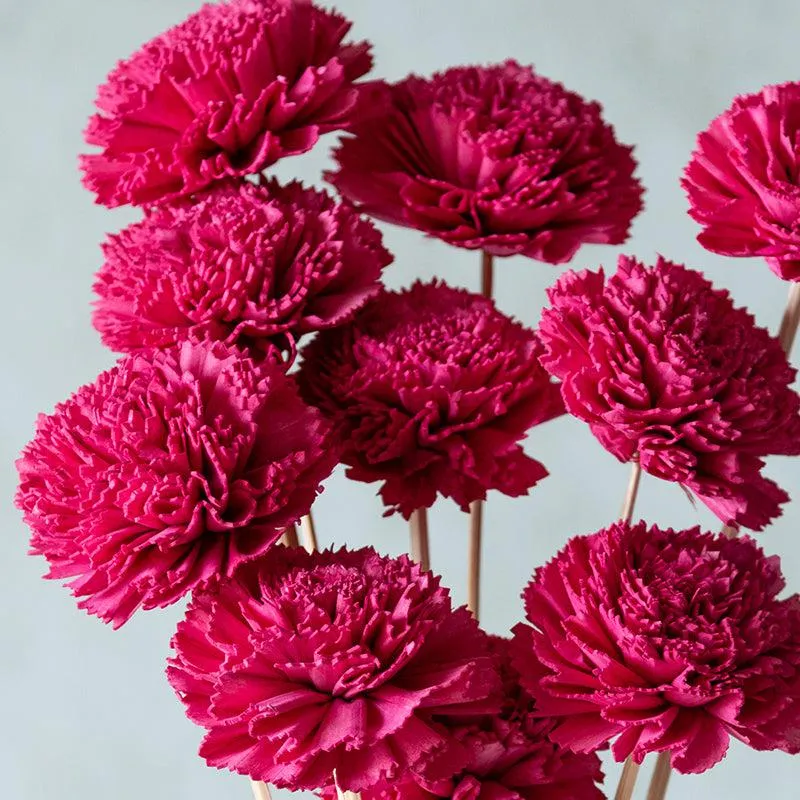 Berta Carnation Sola Flower Stick (Pink) - Set Of Ten media 4