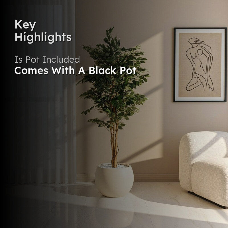 Faux Evergreen Ficus Plant With Black Plastic Pot - 5.91 ft image 2