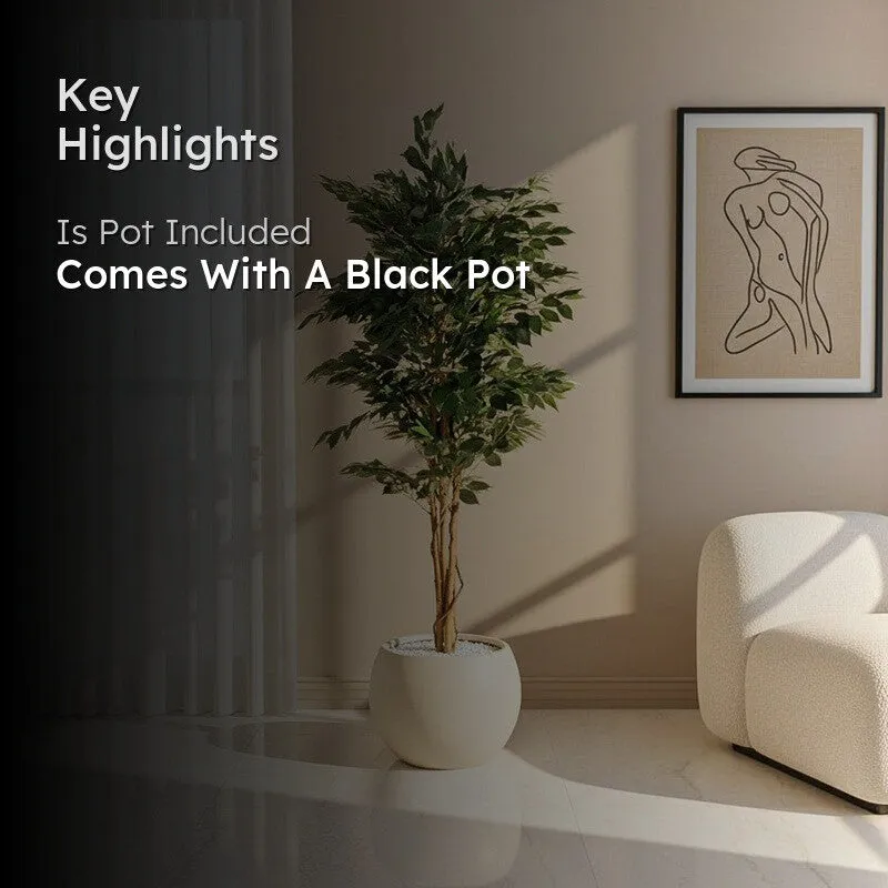 Faux Evergreen Ficus Plant With Black Plastic Pot - 5.91 ft media 2