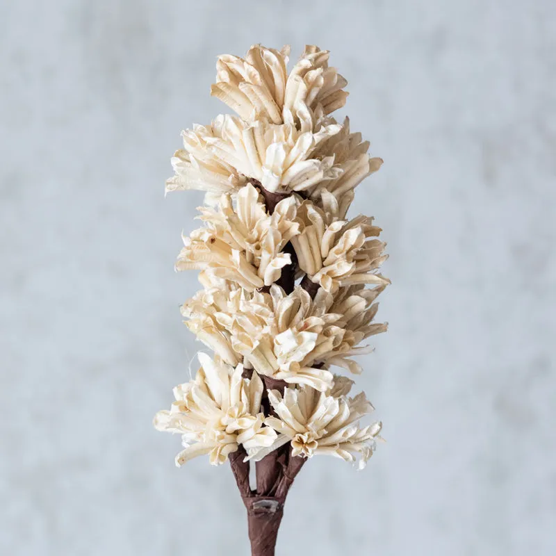 Eirette Handmade Artichoke Stick (Beige) - Set Of Five media 3
