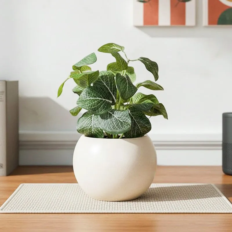 Artificial Fittonia Leaf Plant With Black Fiber Pot - 0.9 Feet media 1