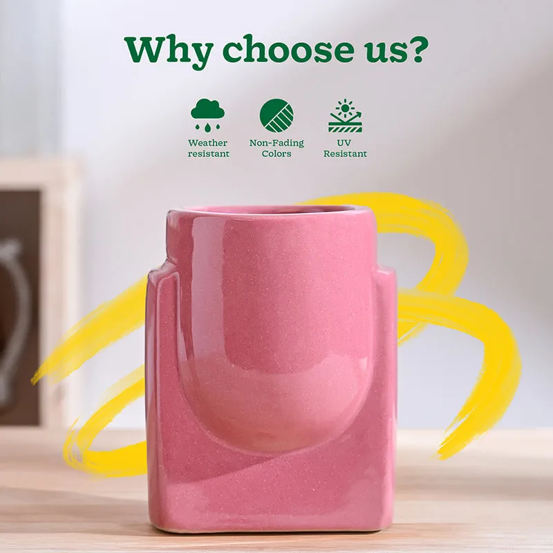 Ugaoo Minimalica Ceramic Planter - Pink media 6