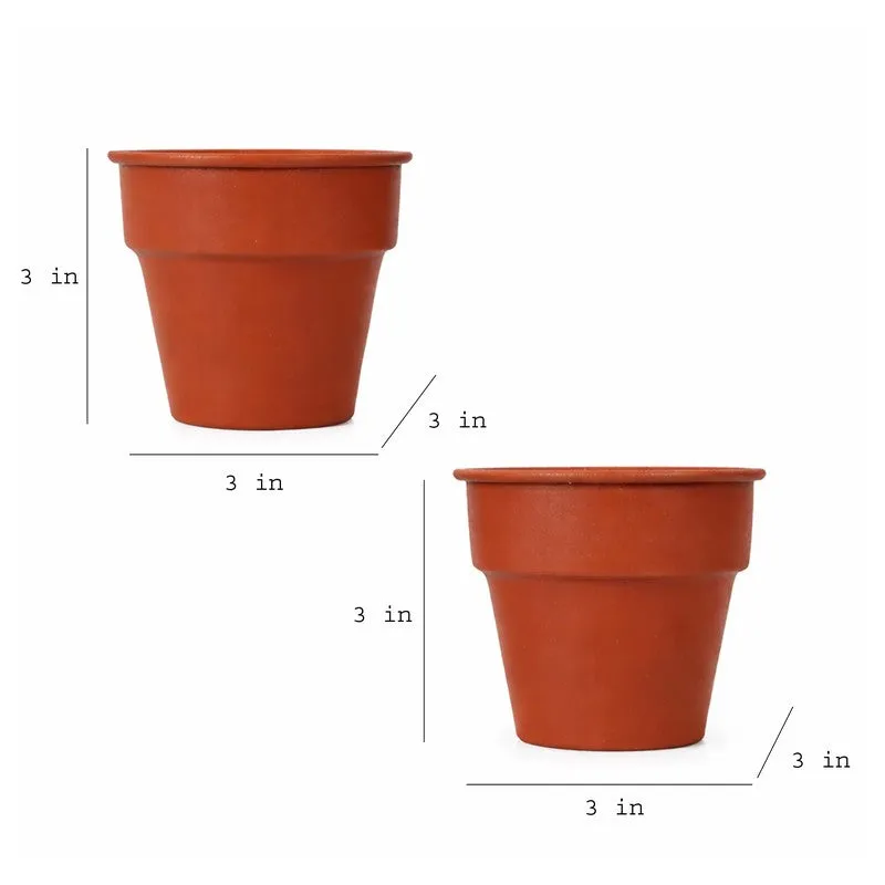 BloomNest Garden Iron Pot - Set Of Two media 7