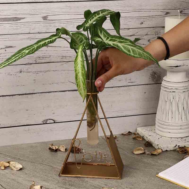Trey Testube Planter media 3