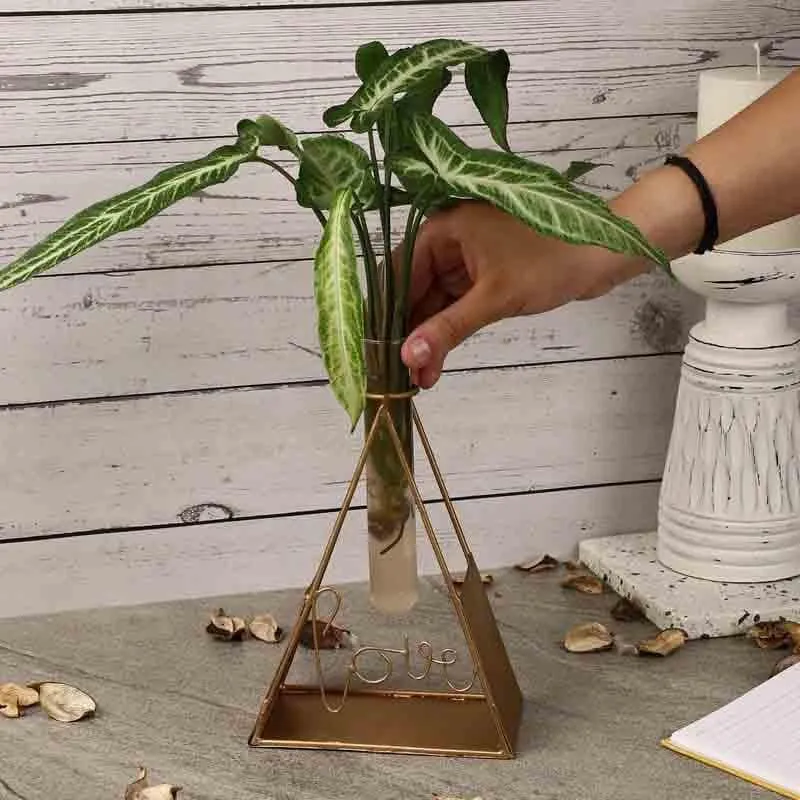 Trey Testube Planter media 3