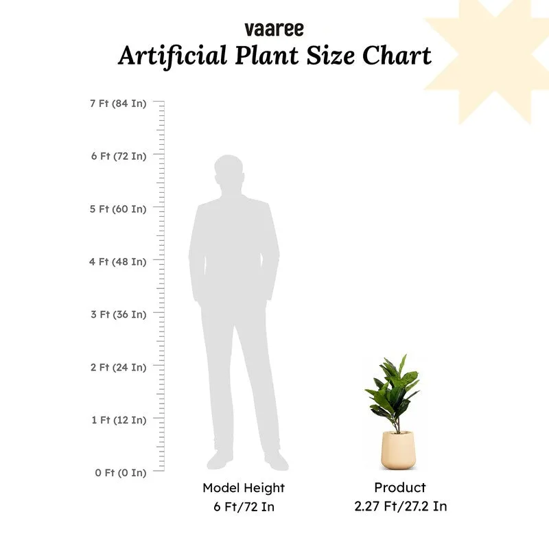 Artificial Small Rubber Plant Without Pot - 2.2 Feet media 7