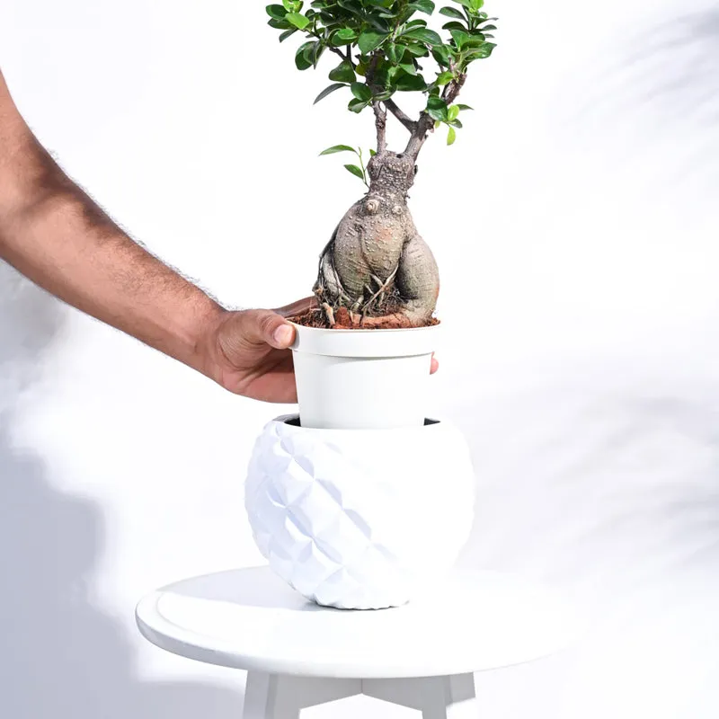A hand places a small potted plant into the white round planter.