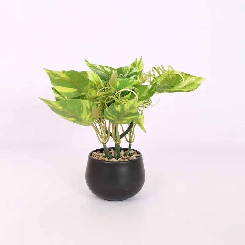 Lucky Artificial Money Plants With Pot - Light Green media 3