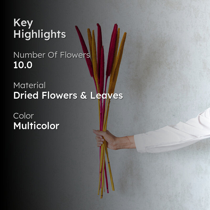 Sival Dried Millet Stick (MultiColor) - Set Of Ten media 2