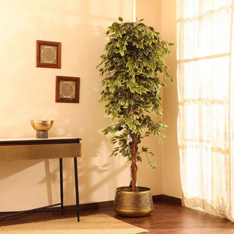 Artificial Variegated Ficus Plant With Black Plastic Pot - 7 ft