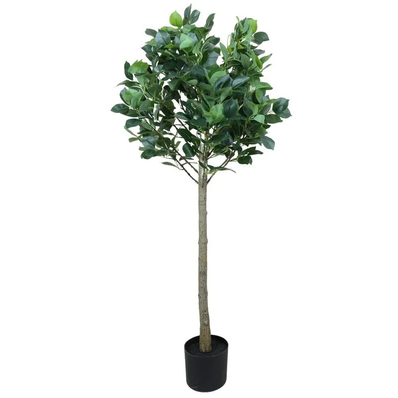 Artificial Topiary Camelia Leaf Plant With Black Fiber Pot - 4.2 Feet media 4