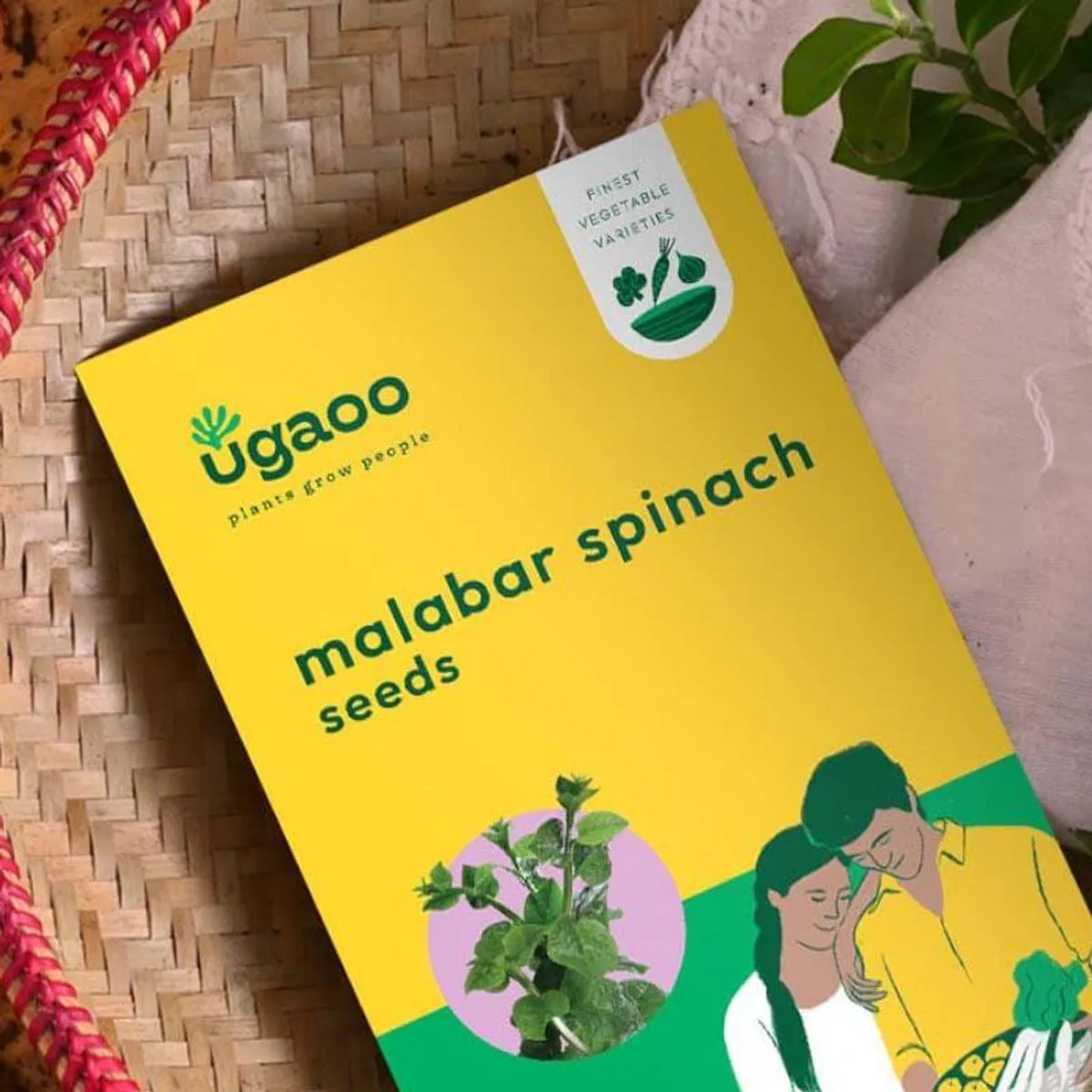 Close-up of yellow Malabar spinach seed packet with green accents