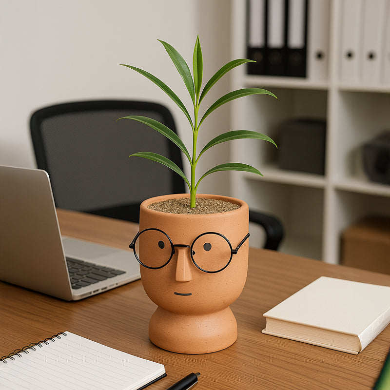 Cheeky Bloom Ceramic Planter - Orange media 6