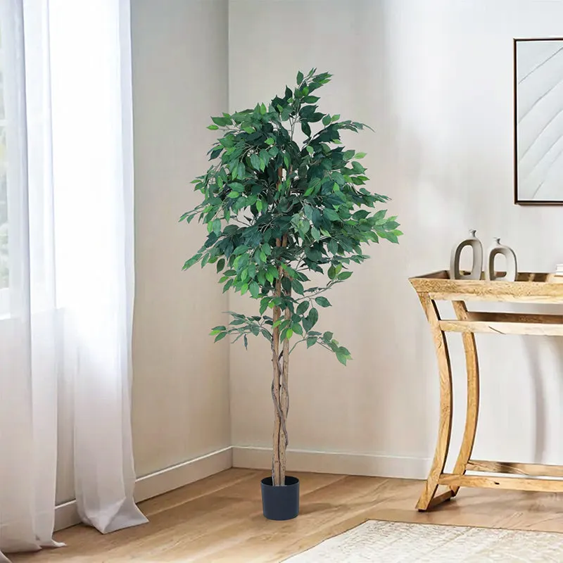 Jadelle Artificial Ficus With Black Plastic Pot - 6 Feet media 3