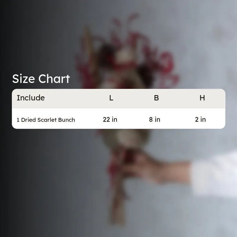 Scarletta Dried Flower Bunch media 6