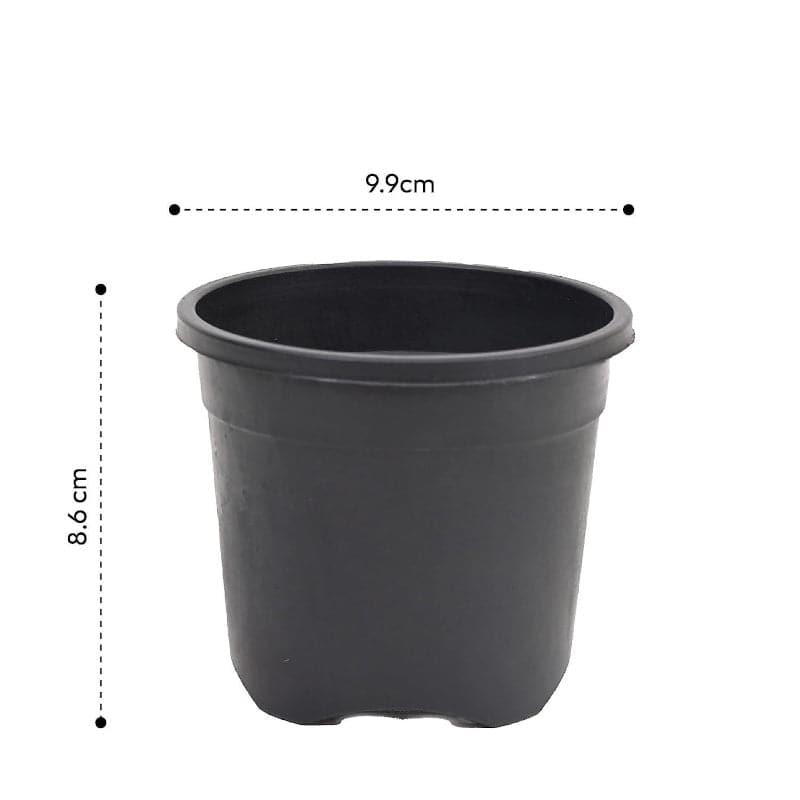 Ugaoo Garden Black Plastic Pot (9.9 CM) - Set Of Six media 5