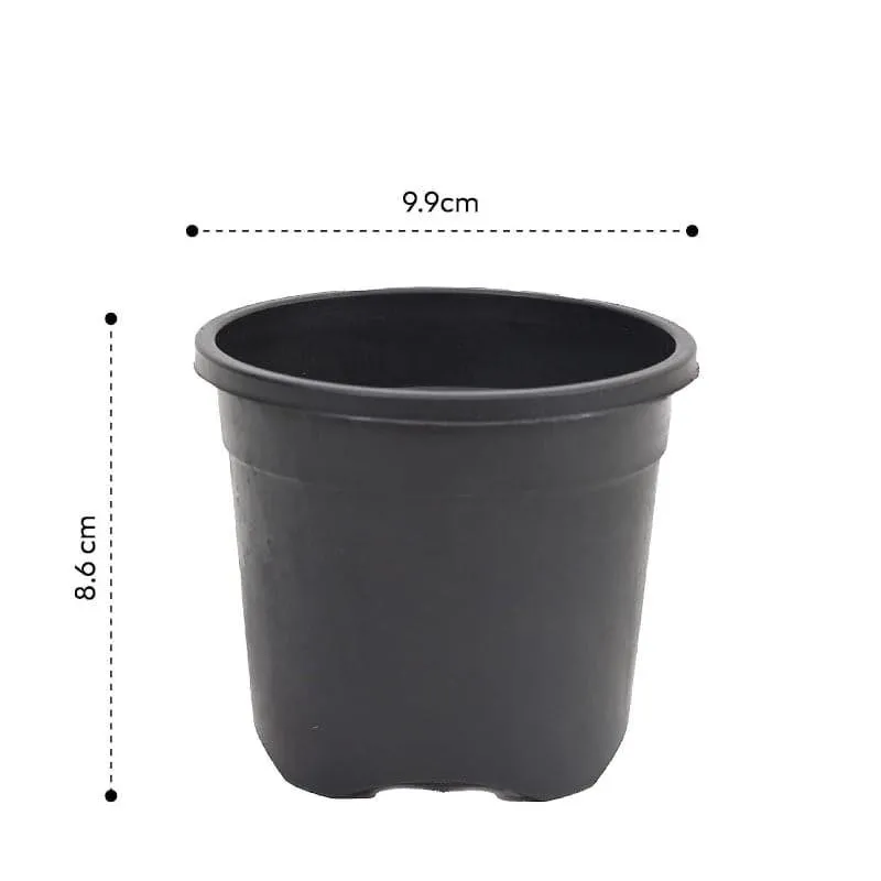 Ugaoo Garden Black Plastic Pot (9.9 CM) - Set Of Six media 5