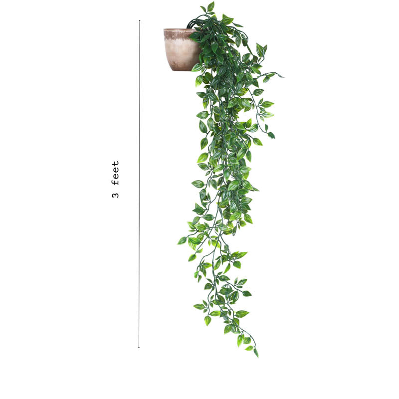 Artificial Leafy Green Hanging Plant With Black Plastic Pot (Set Of Two) - 3 Feet media 7