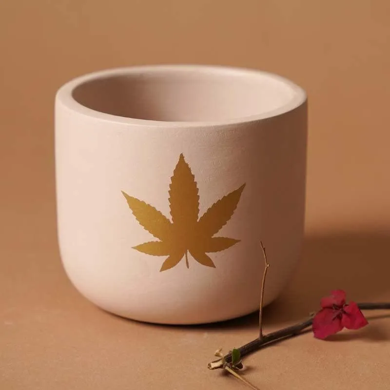 Gold Leaf Planter media 5