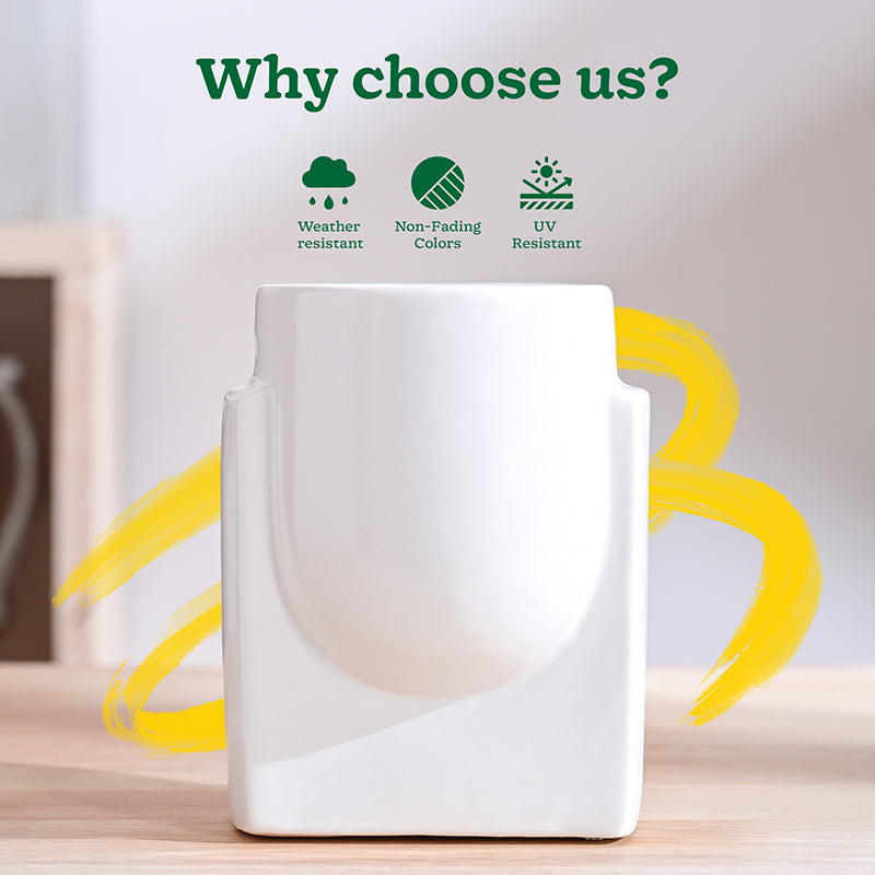 Ugaoo Minimalica Ceramic Planter - White media 6